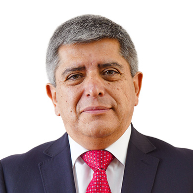 Ricardo Ponce Soto